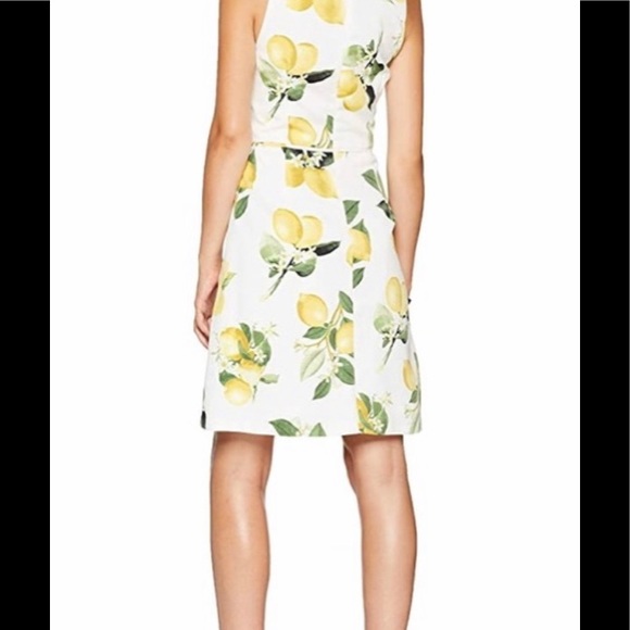 NWT Adrianna Papell Lemon Print A-Line Dress - Picture 3 of 12